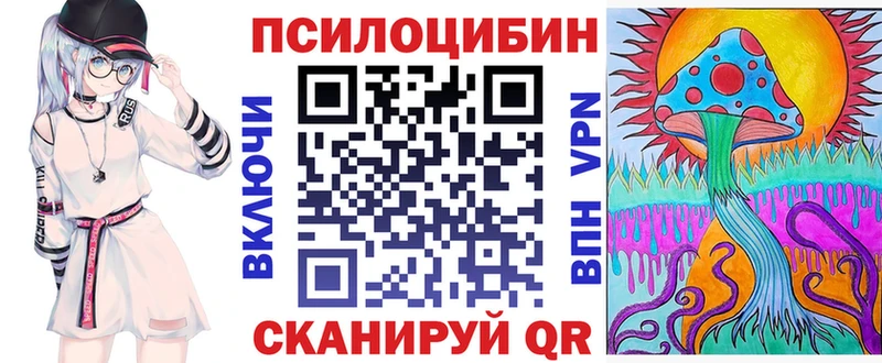 Купить где  Емва  Псилоцибиновые грибы Psilocybe 